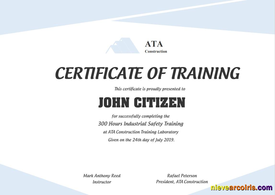 USA Safety Training certificate